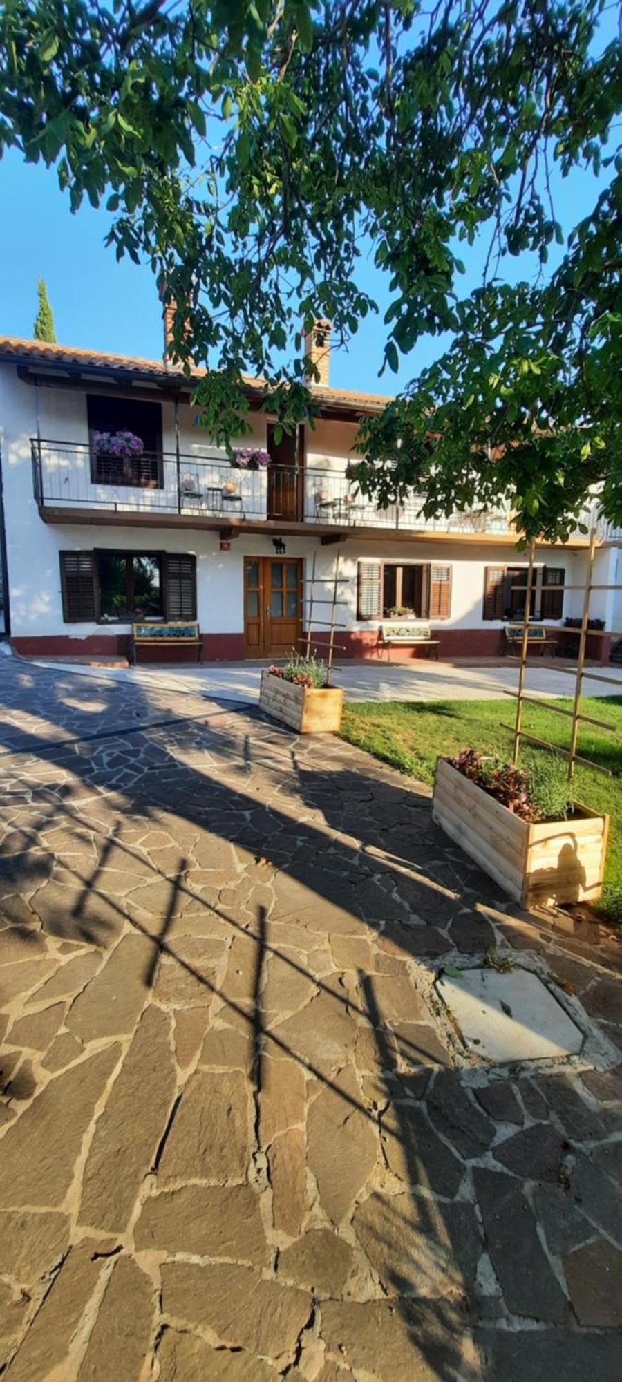 Apartma Brina 3 Sežana Eksteriør bilde